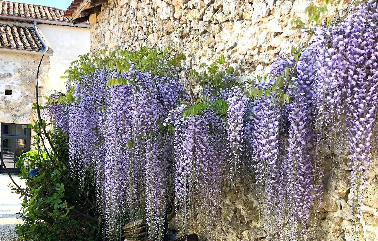 La Grange De La Maison Des Chats Saint-Amans-du-Pech 0*,