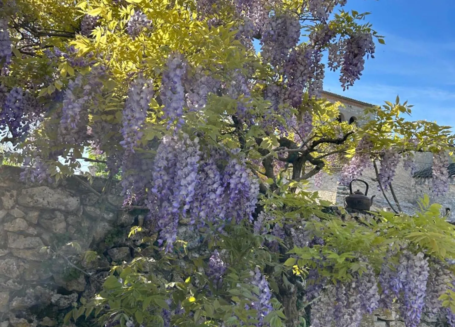 Сasa de vacaciones La Grange De La Maison Des Chats - Gite En Quercy Saint-Amans-du-Pech Francia